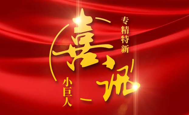 喜訊 | 喜報頻傳！利來w66醫(yī)療獲評國家級專精特新“小巨人”企業(yè)公示